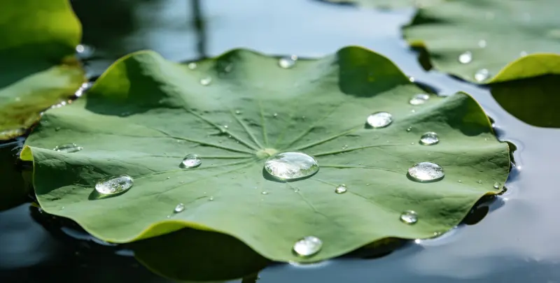 佛山遗传性乳腺癌卵巢癌全面检测检测图1