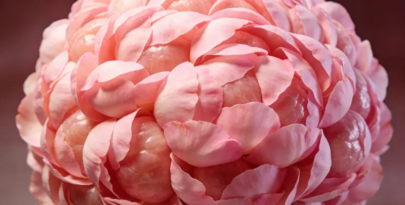 佛山乳腺/卵巢癌靶向120基因检测及PDL122C3表达检测套餐（组织）检测图1