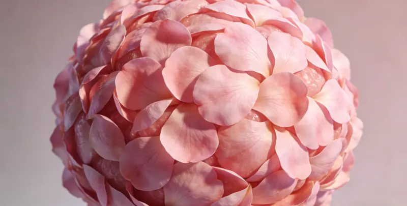 乳腺/卵巢癌靶向120基因检测及PDL122C3表达检测套餐（组织）图4